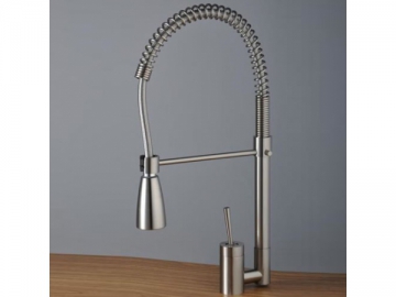 Kitchen Faucet