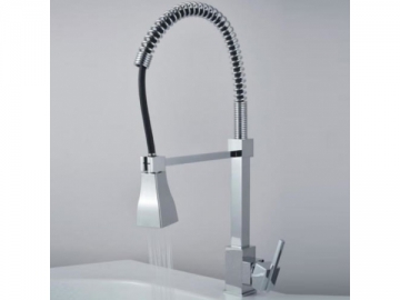 Kitchen Faucet