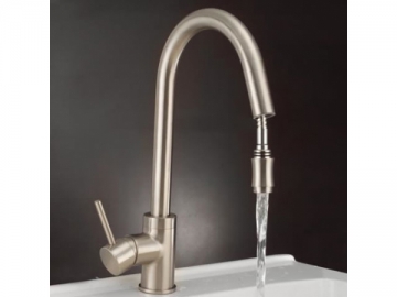 Kitchen Faucet