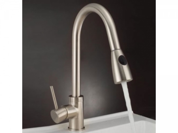 Kitchen Faucet