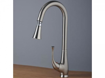 Kitchen Faucet