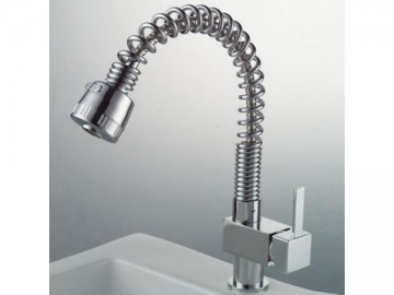 Kitchen Faucet