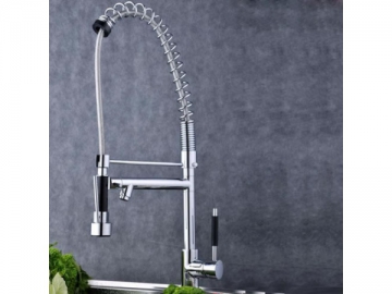 Kitchen Faucet