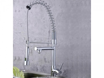 Kitchen Faucet