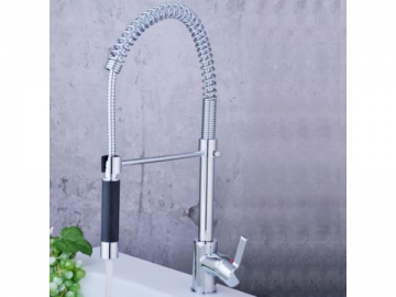 Kitchen Faucet