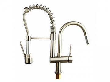 Kitchen Faucet