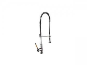 Kitchen Faucet