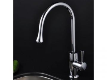 Kitchen Faucet
