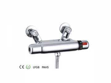 Thermostatic Shower Mixer
