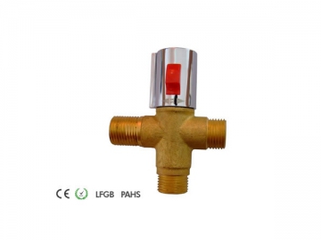 Shower Valve