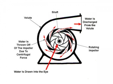 Horizontal Mixed-Flow Pump