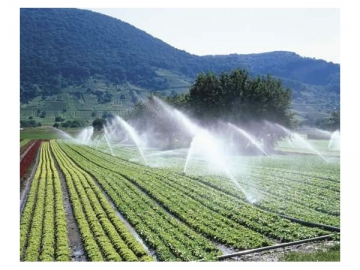 Agricultural Irrigation