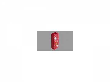 ZB700C-240 Automatic Paper Bag Making Machine