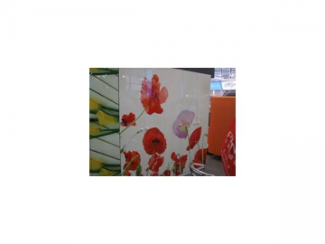Architectural Decoration Field