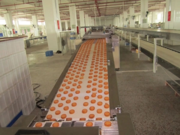 Biscuit Manufacturing Plant