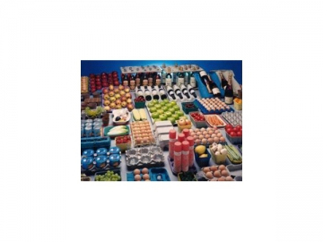 Pulp Moulding Machine