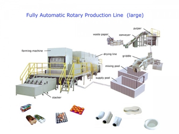 Pulp Moulding Machine