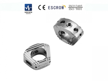 Interbody Fusion Cage