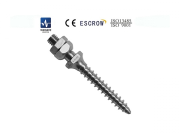 AF/RF Internal Spinal Fixation System