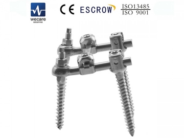 AF/RF Internal Spinal Fixation System