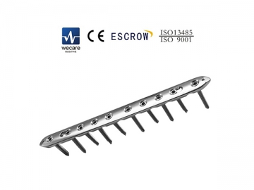 Locking Plate
