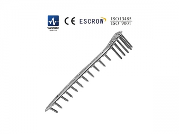 Locking Plate
