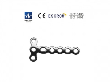 Mini Locking Plate
