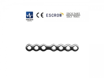 Mini Locking Plate