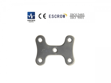 Mini Locking Plate