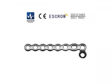 Mini Locking Plate