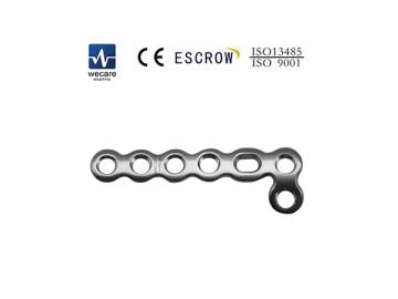 Mini Locking Plate