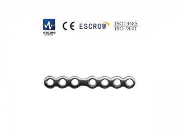 Mini Locking Plate