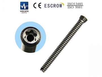 Locking Screw System