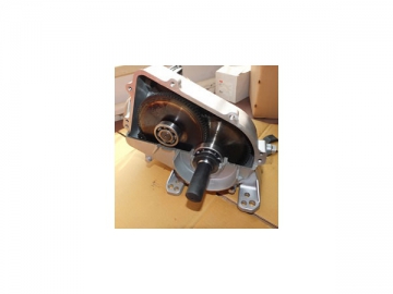 Gear Motor