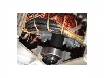 Gear Motor
