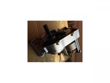 Gear Motor