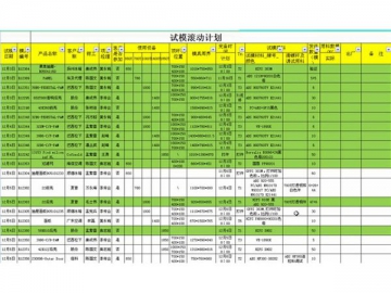 Project Management Capacity