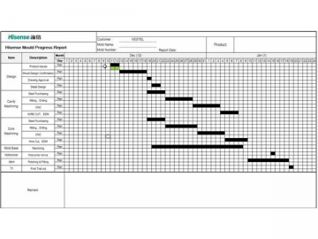 Project Management Capacity