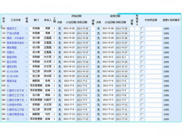 Project Management Capacity