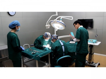 Dental Chair/Dental Unit