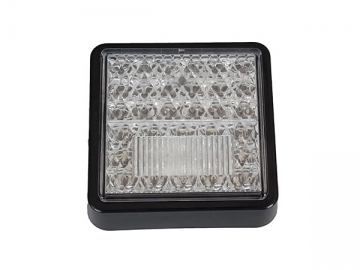 LED Rear Combination Lamp (Fog/Reverse)