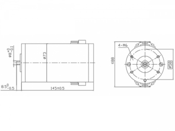 PMDC Brushed Motor, 73mm