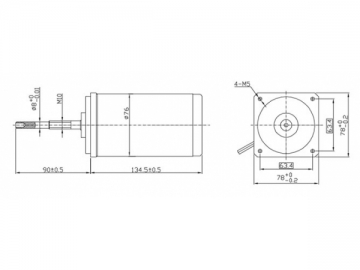 PMDC Brushed Motor, 76mm