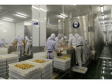 Commercial Refrigeration