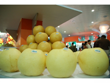 Commercial Refrigeration