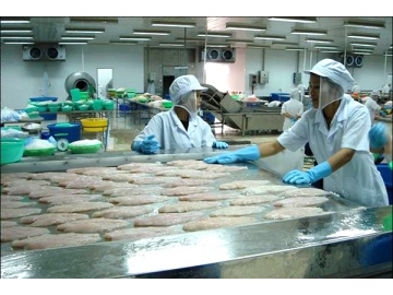 Commercial Refrigeration