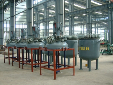Glass-Lined Reactor, K Type