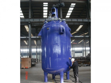 Glass-Lined Reactor, F Type