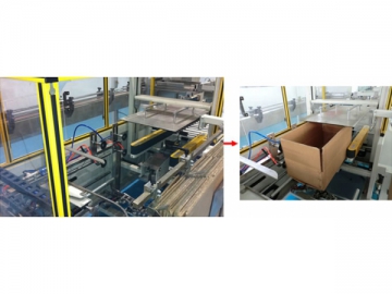 <span>Carton</span> Packaging Line