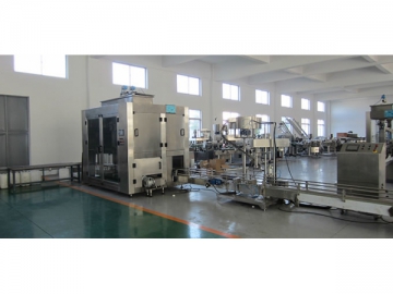 5-30L Food and Oil Packaging Machine